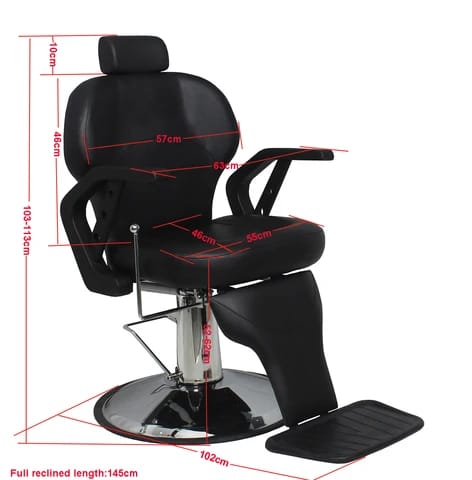 Salon Chair