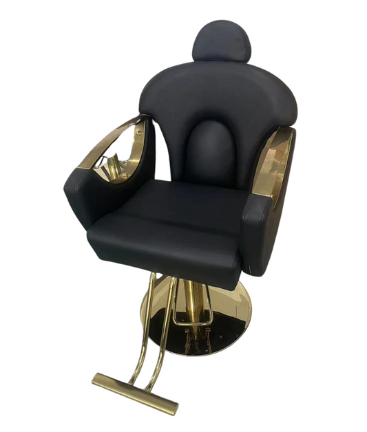 Salon Chair