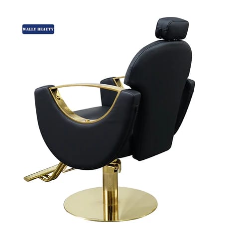 Salon Chair