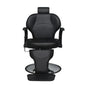 Salon Chair