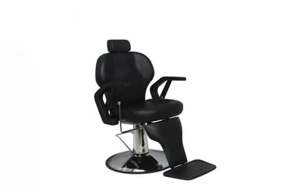 Salon Chair